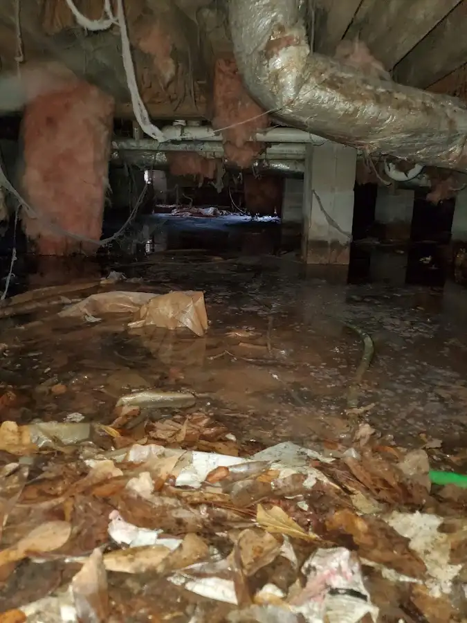 Crawl space flood assessment for Leak Detection & Repair in Norwalk